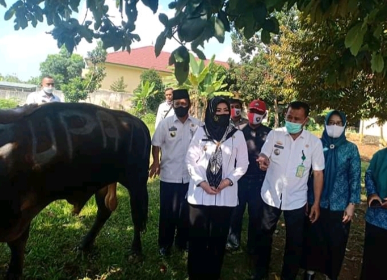 bupati-dewi-handajani-serahkan-hewan-kurban-ke-kecamatan-air-naningan-melalui-phbi.jpg