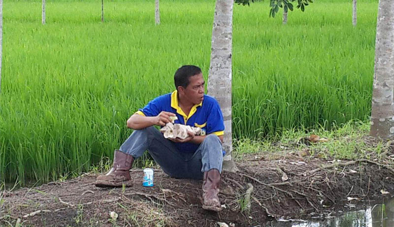 Mengingat Lagi Momen Bupati Khamami Kirim Surat ke KPK, Minta Kawal Proses di Dinas PUPR Mesuji