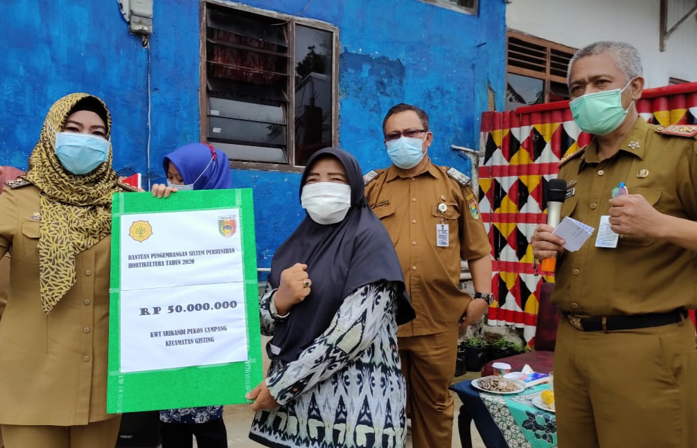 Empat Kelompok Ternak dan Tani di Tanggamus Dibantu 20 Ekor Sapi