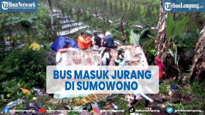 Kecelakaan Bus Masuk Jurang Gara-gara Tumpahan Solar di Jalan