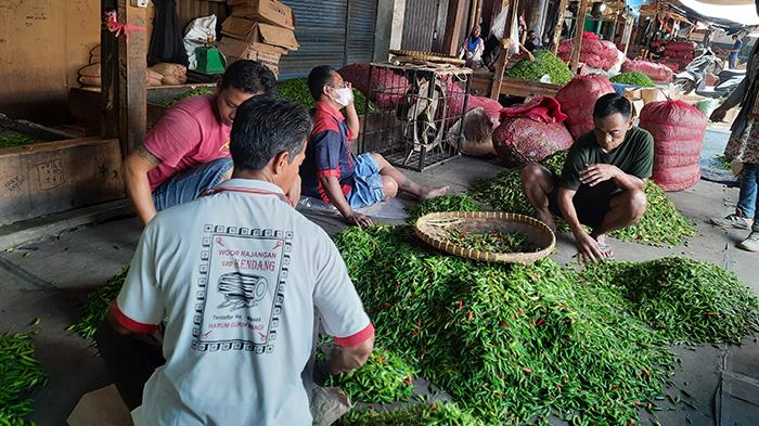 Harga Cabai di Metro Turun Daya Beli Rendah, Rp 10 Ribu per Kilogram