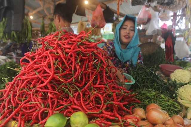 Harga Cabai Merah di Aceh Utara Tembus Rp 80 Ribu per Kg