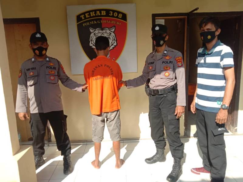 Curi 2 Sapi Milik Korban, Warga Pringsewu Terancam 7 Tahun Penjara