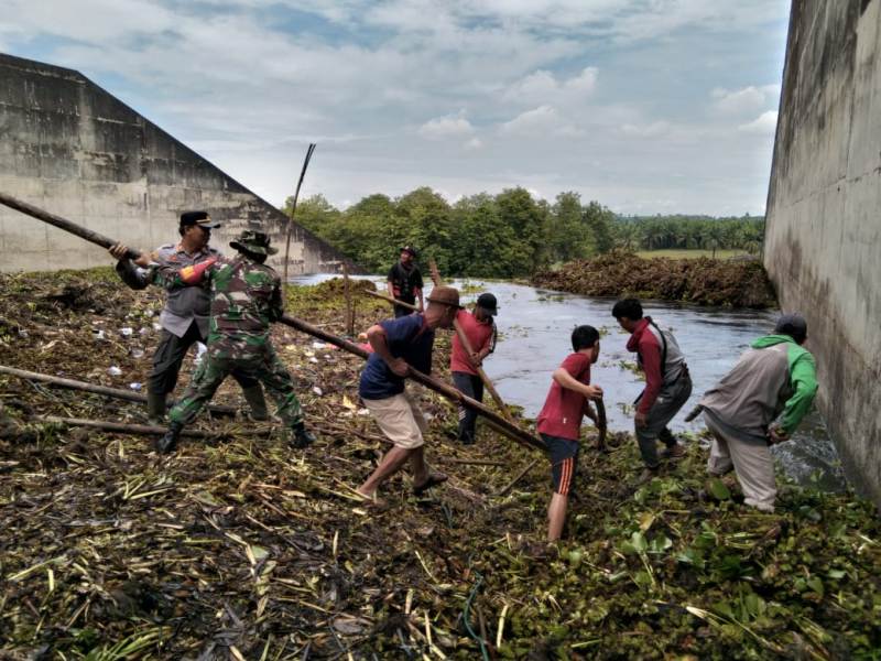 Enceng Gondok Kendala Terberat Cari Korban Tenggelam di Bendungan Way Rarem Lampung Utara