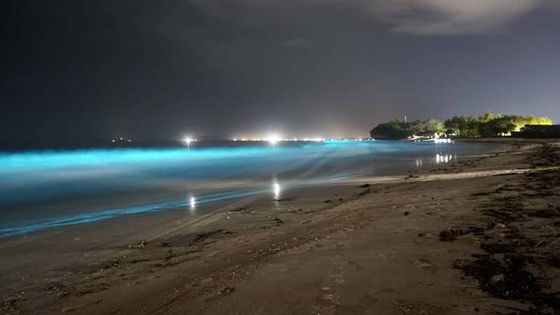 Soal Fenomena Warna Biru Menyala di Pantai Labuhan Jukung, Begini Kata BMKG Lampung