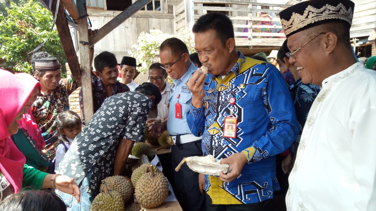 festival-durian-lokal-di-desa-gunung-gijul.jpg