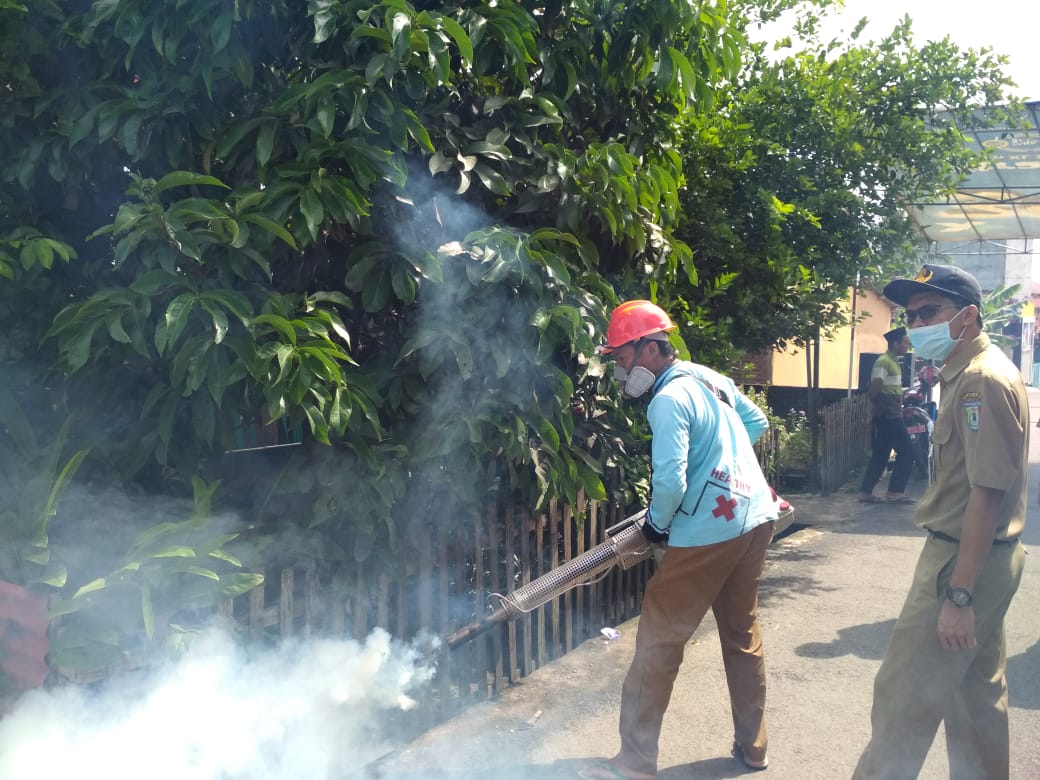 Sempat Kejang dan Pendarahan, Perawat RSUD Bandar Lampung Meninggal Dunia Diduga karena DBD