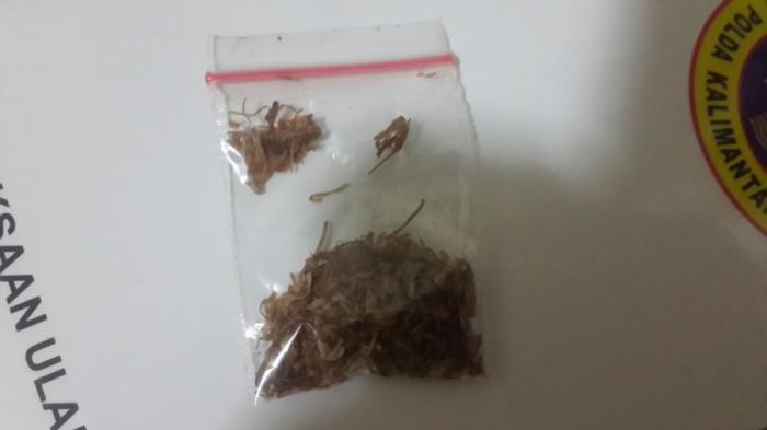 Perkenalkan Si Gorila, Tembakau Murah yang Efeknya Melebihi Ganja