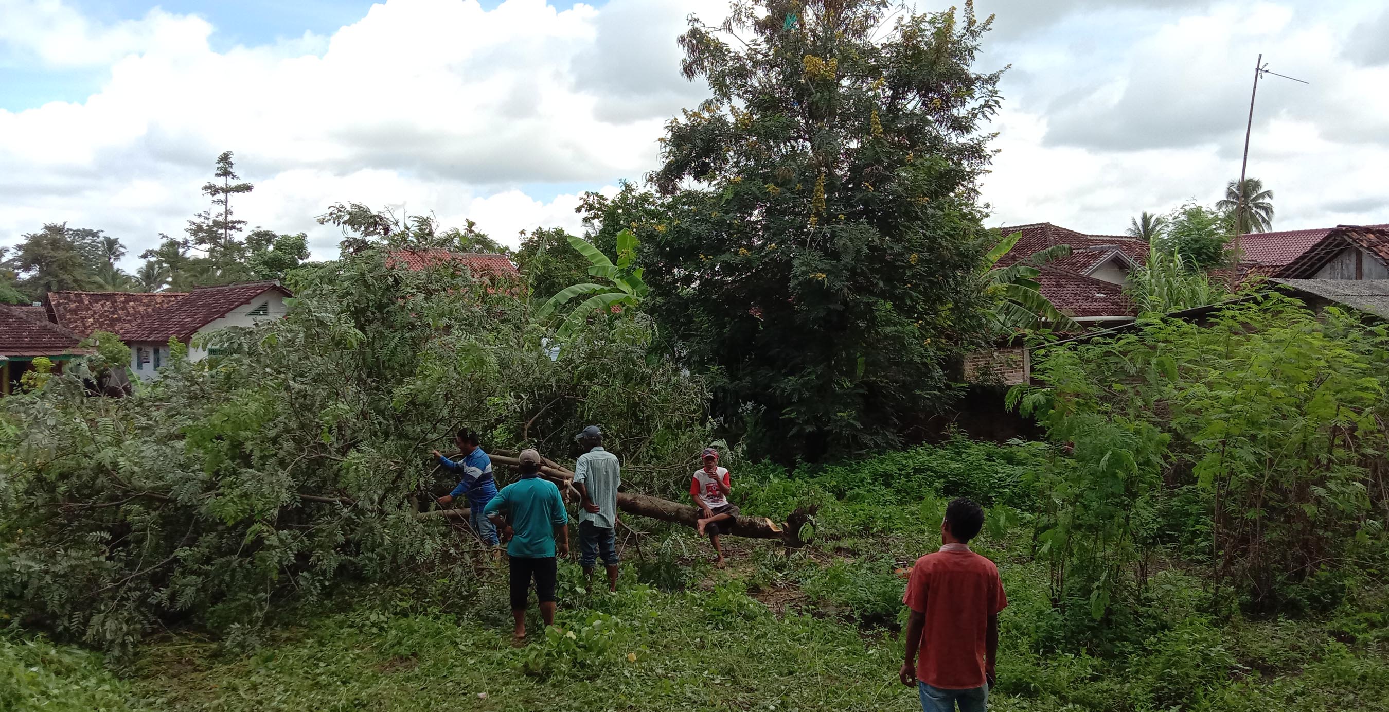 Pohon Tempat Pria Tewas Tergantung Ditebang, Kakon Wonodadi: Agar Tidak Ada Lagi Kejadian Serupa