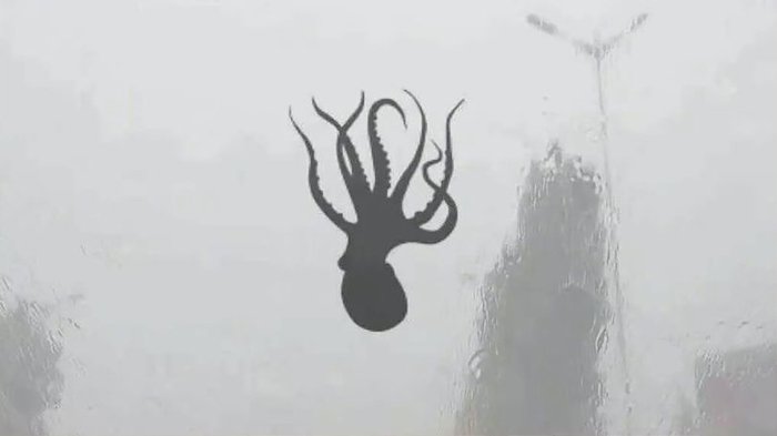 Hujan Makhluk Laut saat Badai, Gurita hingga Bintang Laut Berjatuhan dari Langit