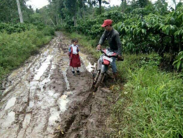 20 Tahun Ngajar Guru Ini Status Tetap Honorer, Setiap Hari Rasakan Kondisi Begini