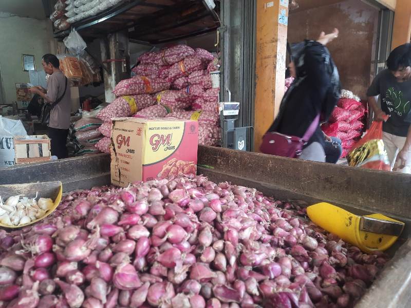 harga-bawang-merah-di-metro-lampung-naik-kini-jadi-rp-42-ribu-per-kg-522023.jpg