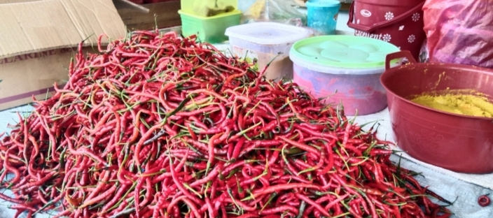 Cabai di Pesisir Barat Lampung Turun Jadi Rp 65 Ribu per Kg