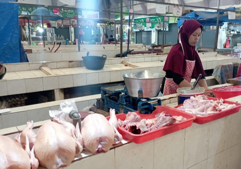 Harga Daging Ayam di Metro Lampung Kini Rp 33 Ribu/Kg Usai Lebaran