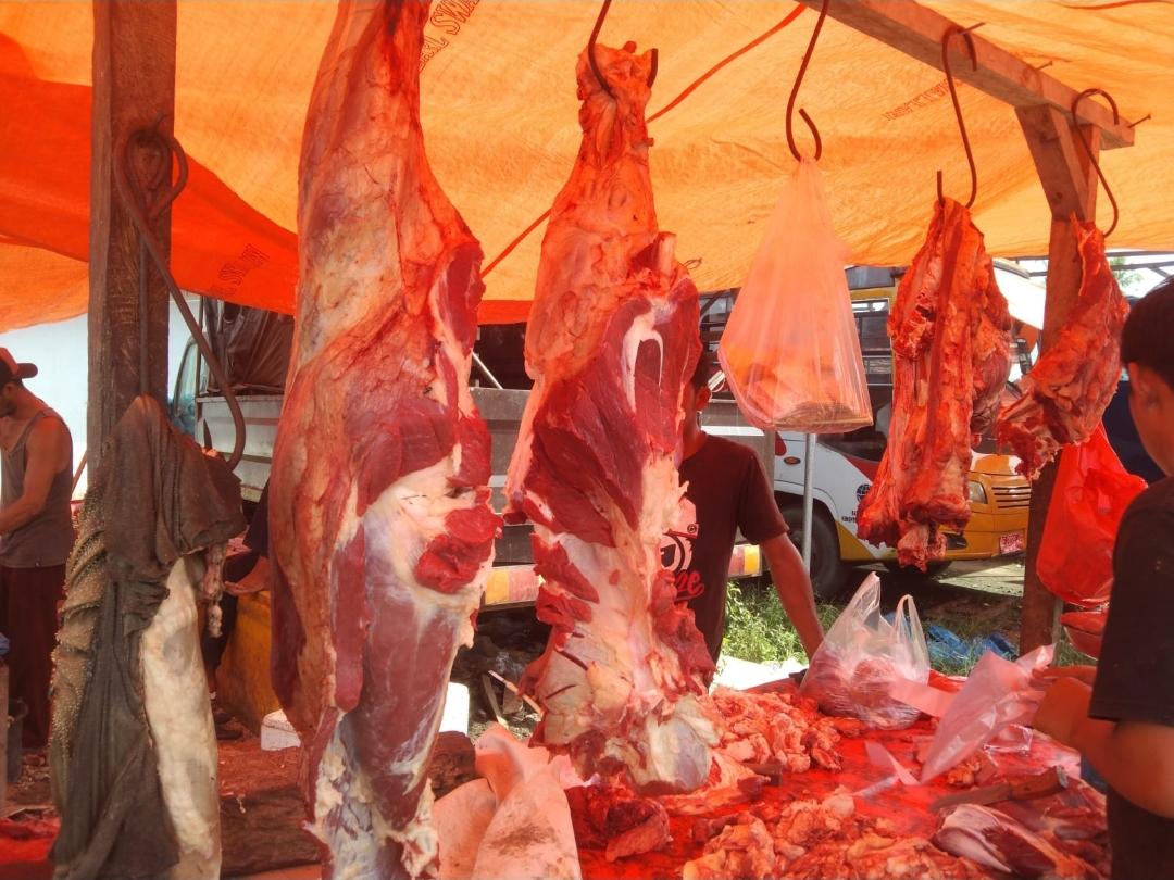 harga-daging-sapi-di-Pesisir-Barat-naik-77.jpg