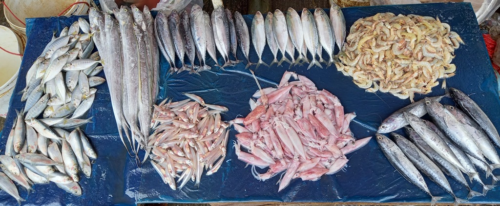 Jelang Libur Nataru, Harga Ikan di Bandar Lampung Diprediksi Naik