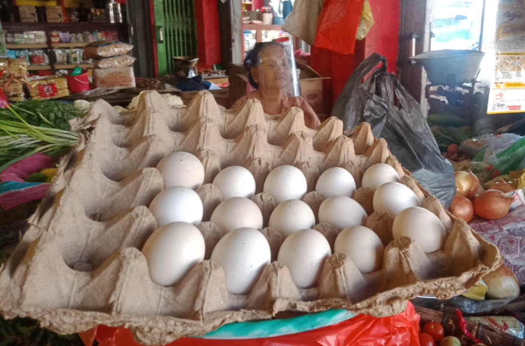 harga-telur-ayam-ras-kini-rp-25000-per-kg.jpg