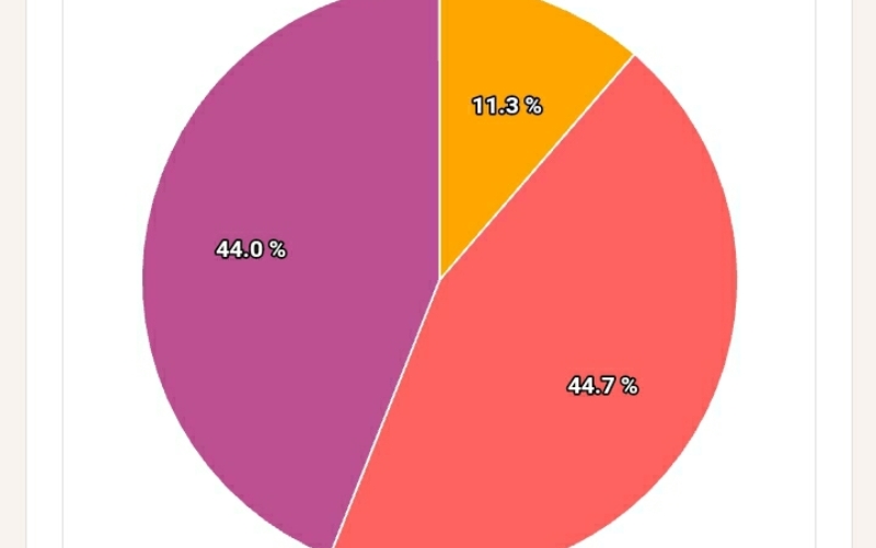 hasil-pilkada-pesisir-barat-2020-data-sementara-kpu-agus-istiqlal-zulqoini-kejar-suara-aria-erlina.jpg