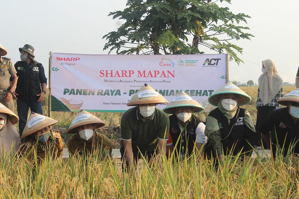 Hasilkan 49 Ton Gabah Beras Program CSR Sharp Mapan Tuai Hasil Positif di Panen Pertama