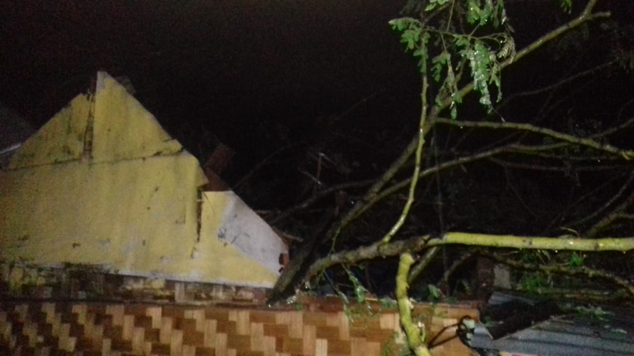 hujan-lebat-pada-rabu-1612019-sore-sebabkan-dua-rumah-tertimpa-pohon-tumbang.jpg