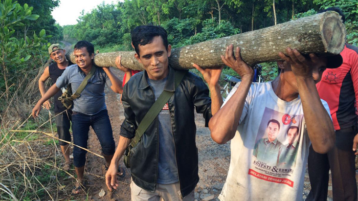 Polres Way Kanan Amankan Batangan Kayu Diduga Ilegal Logging di Register 42