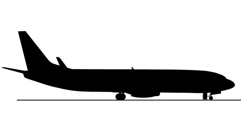 Penumpang Diseret Keluar Pesawat, Pilot Transnusa Diperiksa Polisi