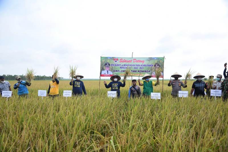 Ini Penyebab Raperda Lahan Pertanian di Mesuji Mandek