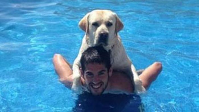 Bintang Real Madrid Ini Punya Anjing Peliharaan Bernama Messi