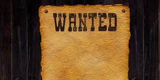 Siapa Veronica Koman yang Diburu Polri hingga Minta Bantuan Interpol