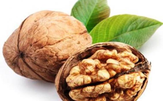 Kacang Kenari Mampu Tingkatkan Kesuburan Pria