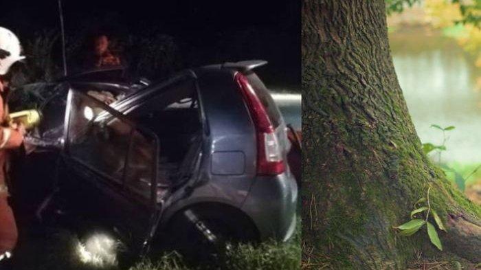 kakak-beradik-kecelakaan-maut-tertimpa-pohon.jpg