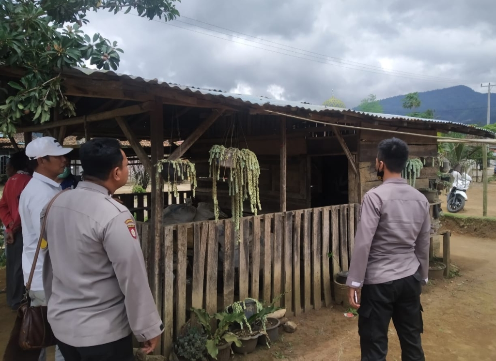 Ditinggal Istri dan Anaknya, Kakek di Ulu Belu Ditemukan Tewas Tergantung di Warung Kosong