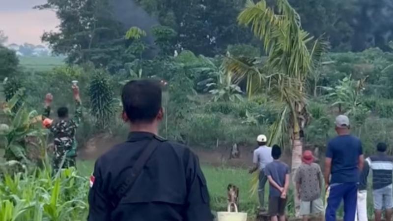 kawanan-gajah-masuki-perladangan-warga-di-lampung-timur.jpg