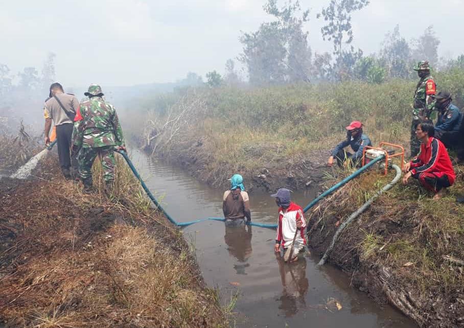 Kebakaran Lahan di Indo Lampung, Kodim dan BPBD Mesuji Berjibaku Padamkan Api