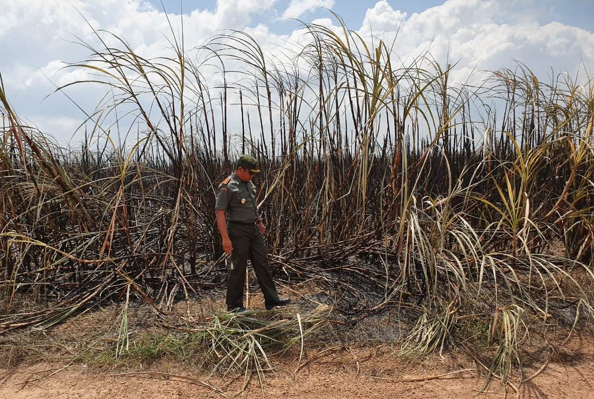 Dandim Tulangbawang Cek Titik Api di Areal Tebu PT SGC
