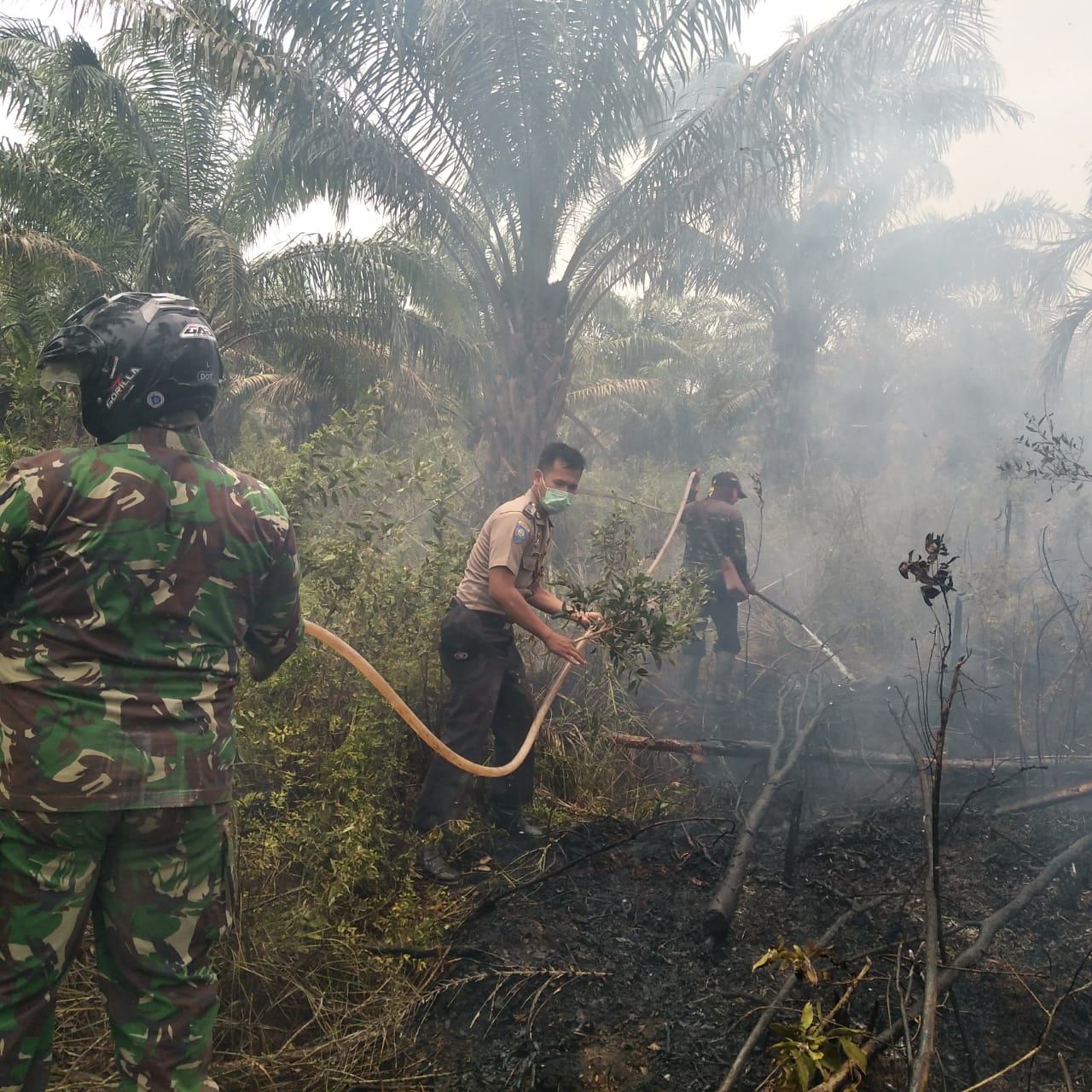 BPBD Mesuji Belum Tahu Kebakaran Lahan 10 Hektare di PT BSMI