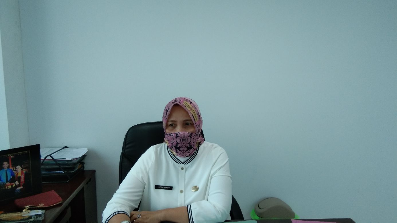 Terdampak Pandemi Covid-19, UMKM di Bandar Lampung Disarankan Manfaatkan Marketplace