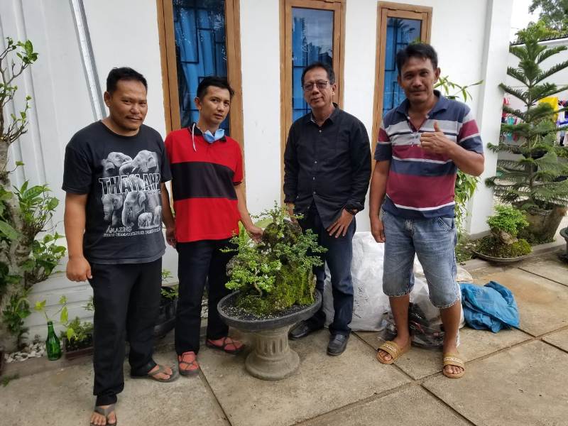 ketua-dprd-lampung-mingrum-gumay-suka-gaya-bonsai-on-the-rock.jpg