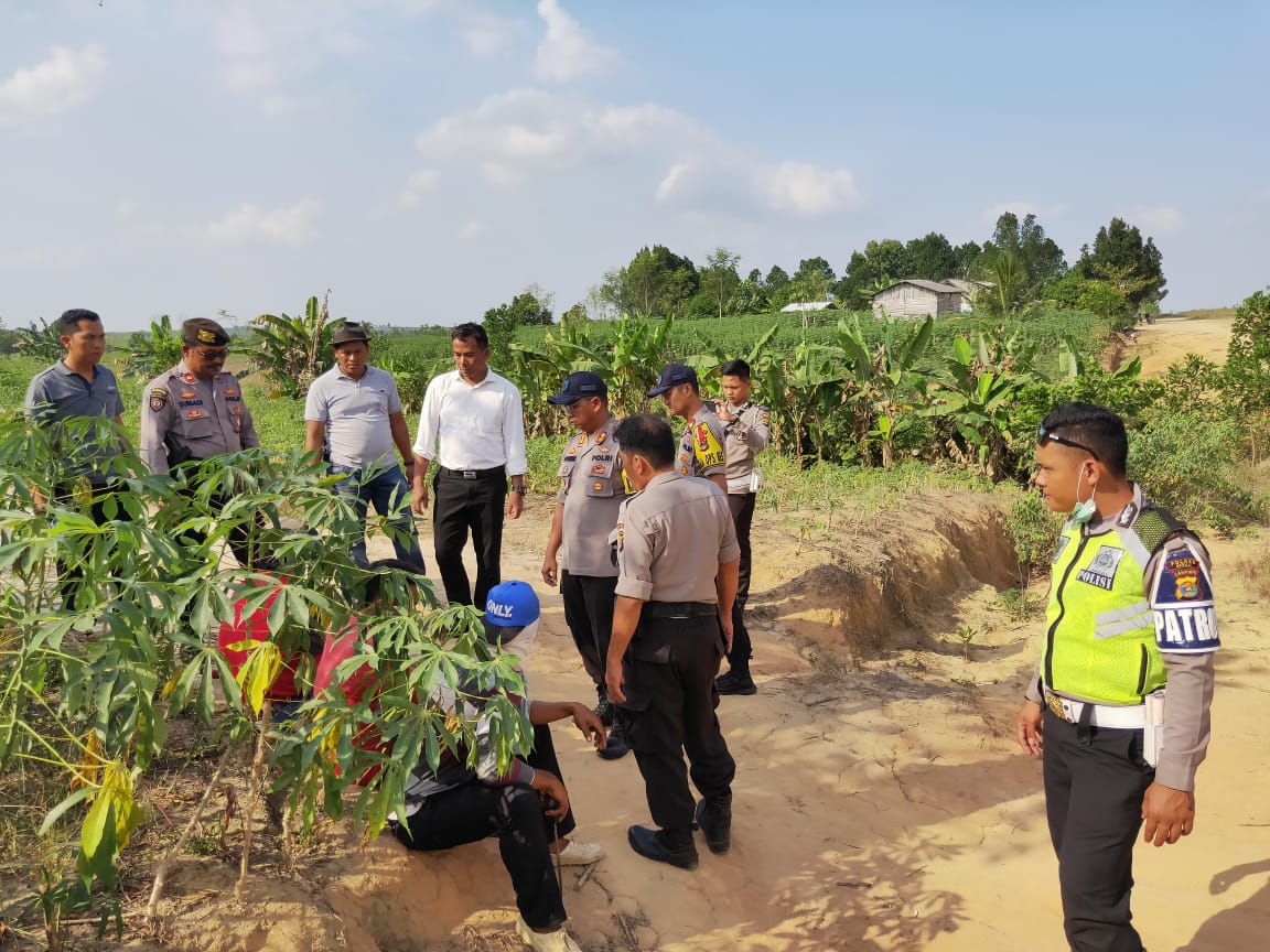 Kronologi Bentrok di Mesuji, Berawal dari Temuan Traktor Berujung Pertikaian Berdarah