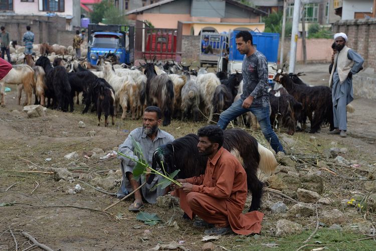 Larangan Memotong Kuku dan Rambut bagi Orang Berkurban di Hari Raya Idul Adha