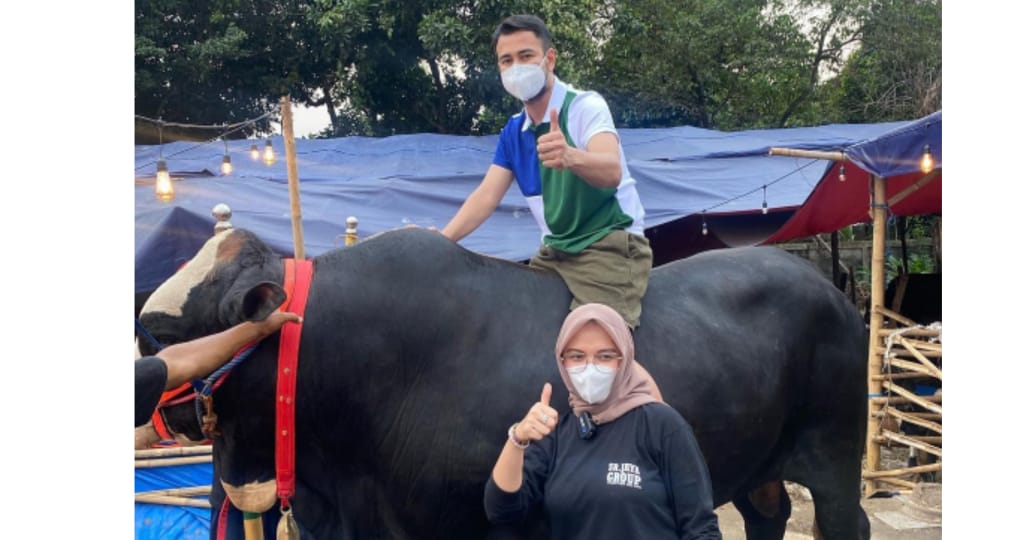 Deretan Artis Kurban Sapi Ukuran Jumbo pada Idul Adha 2021