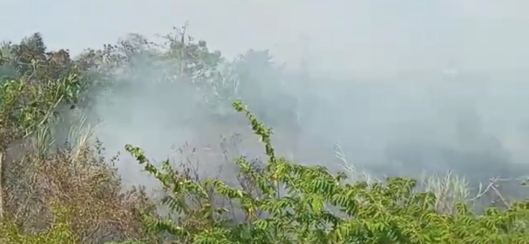 lahan-kosong-15-hektare-di-lampung-selatan-terbakar.jpg