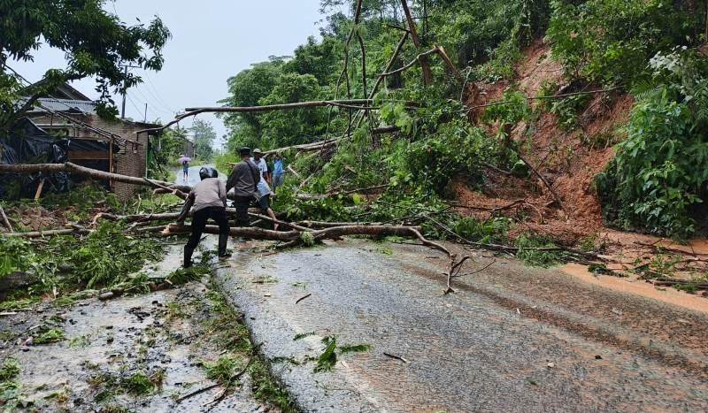 longsor-di-sejumlah-titik-di-Kecamatan-Limau-Tanggamus.jpg