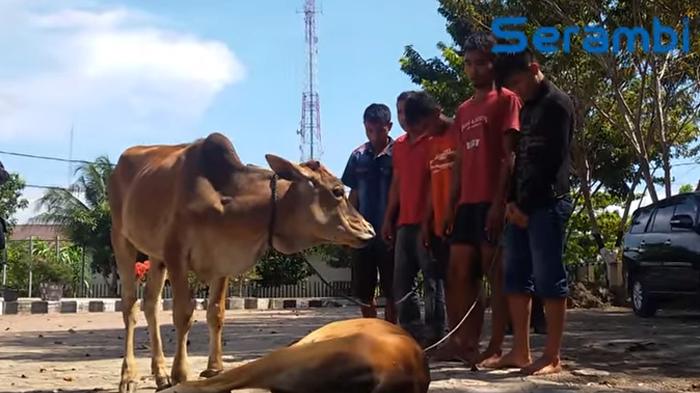 Marak Aksi Pencurian di Bumi Ayu Pringsewu, Warga Segera Giatkan Lagi Siskamling