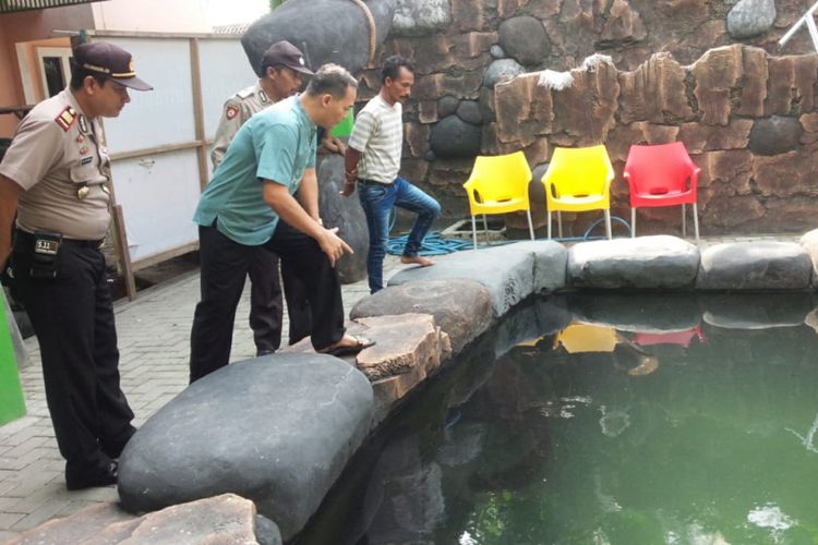 Kisah Masudin Pelihara 5 Ekor Ikan Arapaima, dari Biaya Mahal Hingga Tak Tau Jika Dilarang