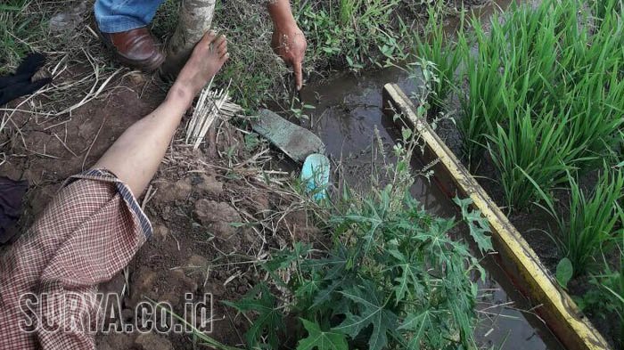 Terkuak! 5 Fakta Mayat Perempuan Nyaris Tanpa Busana, Ternyata Dia . . .