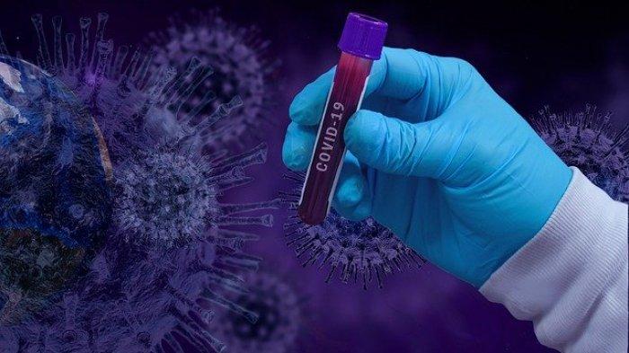 13 Negara yang Masih Bebas dari Virus Corona