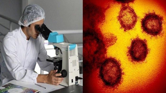 Pakar IDI Sebut Virus Corona Bisa Mati Sendiri Setelah 14 Hari, Sistem Imun Tubuh Taruhannya