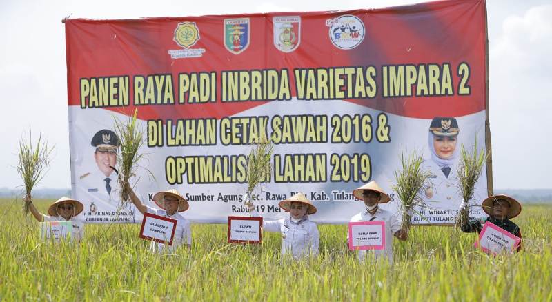 panen-raya-padi-di-rawapitu-bupati-winarti-sektor-pertanian-punya-andil-dongkrak-ekonomi.jpg