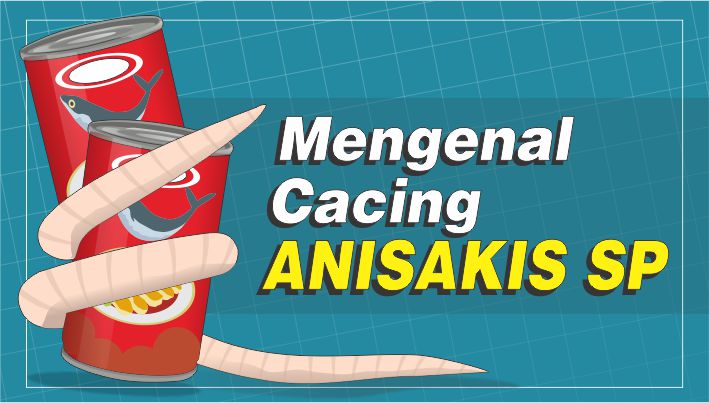 GRAFIS: Bahaya Gak Sih Parasit Cacing Anisakis sp Masuk Dalam Tubuh?